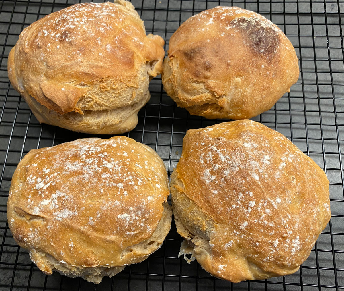 Roggen-Dinkel-Brötchen – Gabis Rentenleben